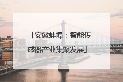 安徽蚌埠：智能传感器产业集聚发展