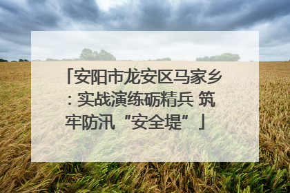 安阳市龙安区马家乡：实战演练砺精兵 筑牢防汛“安全堤”