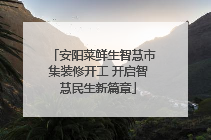 安阳菜鲜生智慧市集装修开工 开启智慧民生新篇章