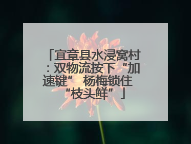 宜章县水浸窝村：双物流按下“加速键” 杨梅锁住“枝头鲜”