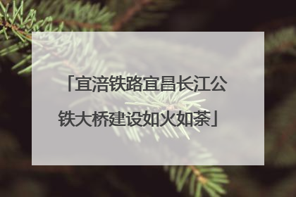 宜涪铁路宜昌长江公铁大桥建设如火如荼