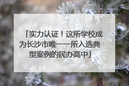实力认证！这所学校成为长沙市唯一一所入选典型案例的民办高中