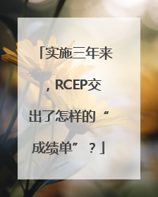 实施三年来，RCEP交出了怎样的“成绩单”？