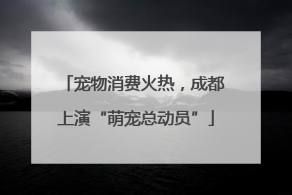 宠物消费火热，成都上演“萌宠总动员”