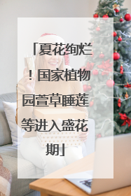 夏花绚烂！国家植物园萱草睡莲等进入盛花期