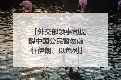 外交部领事司提醒中国公民暂勿前往伊朗、以色列
