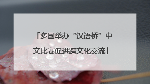 多国举办“汉语桥”中文比赛促进跨文化交流