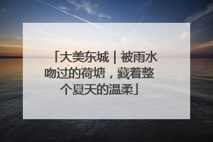 大美东城｜被雨水吻过的荷塘，藏着整个夏天的温柔