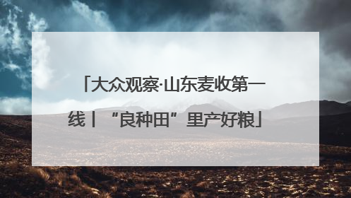大众观察·山东麦收第一线丨“良种田”里产好粮