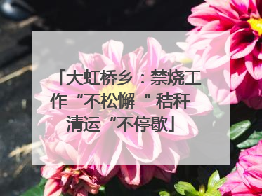 大虹桥乡：禁烧工作“不松懈“ 秸秆清运“不停歇