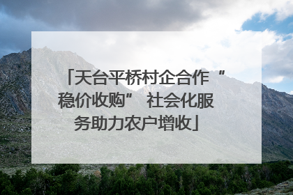 天台平桥村企合作“稳价收购” 社会化服务助力农户增收