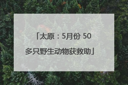 太原：5月份 50多只野生动物获救助