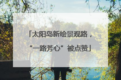 太阳岛新绘景观路，“一路芳心”被点赞