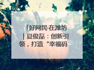 好网民·在潍坊｜夏俊磊：创新引领，打造“幸福码头”典范