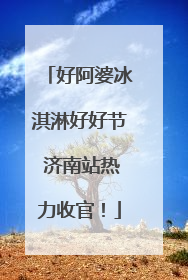 好阿婆冰淇淋好好节 济南站热力收官！