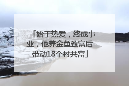 始于热爱，终成事业，他养金鱼致富后带动18个村共富