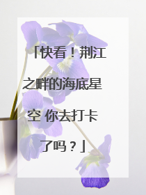 快看！荆江之畔的海底星空 你去打卡了吗？