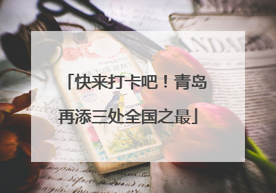 快来打卡吧！青岛再添三处全国之最