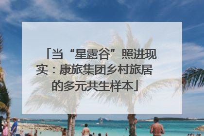 当“星露谷”照进现实：康旅集团乡村旅居的多元共生样本