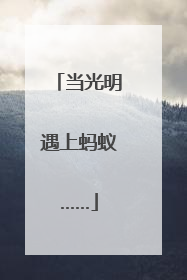 当光明遇上蚂蚁……