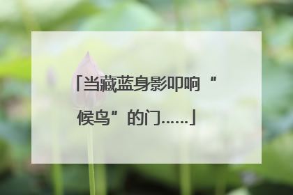 当藏蓝身影叩响“候鸟”的门……