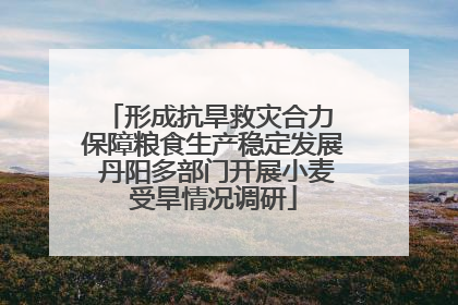 形成抗旱救灾合力 保障粮食生产稳定发展 丹阳多部门开展小麦受旱情况调研