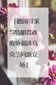 德国寻求与特朗普政府协调涉乌克兰问题立场