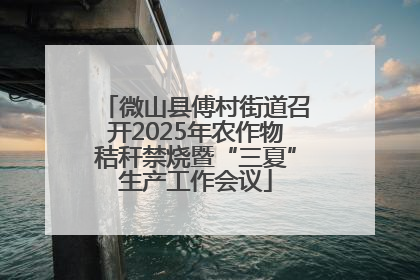 微山县傅村街道召开2025年农作物秸秆禁烧暨“三夏”生产工作会议