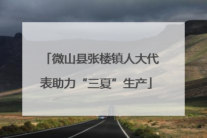 微山县张楼镇人大代表助力“三夏”生产