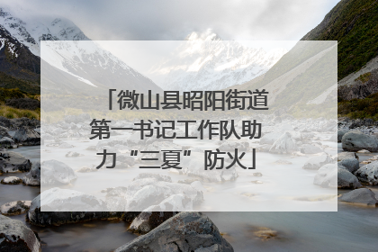 微山县昭阳街道第一书记工作队助力“三夏”防火
