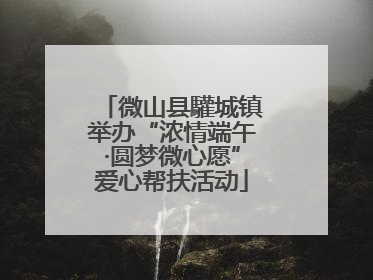微山县驩城镇举办“浓情端午·圆梦微心愿”爱心帮扶活动