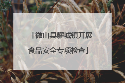 微山县驩城镇开展食品安全专项检查