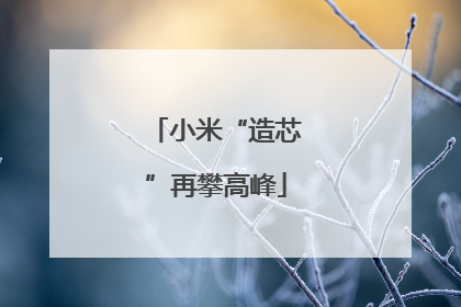 小米“造芯”再攀高峰