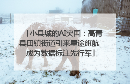 小县城的AI突围：高青县田镇街道引来星途旗航 成为数据标注先行军