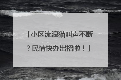 小区流浪猫叫声不断？民情快办出招啦！