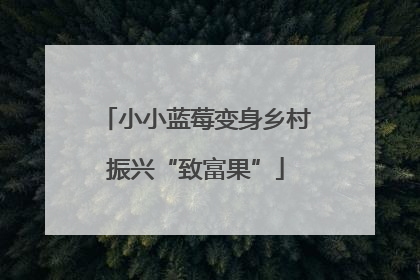 小小蓝莓变身乡村振兴“致富果”