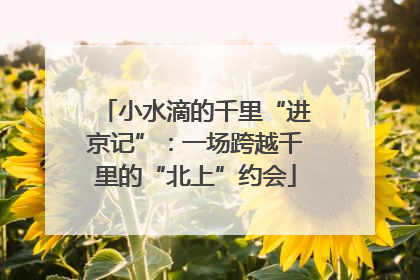 小水滴的千里“进京记”：一场跨越千里的“北上”约会