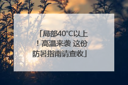 局部40℃以上！高温来袭 这份防暑指南请查收