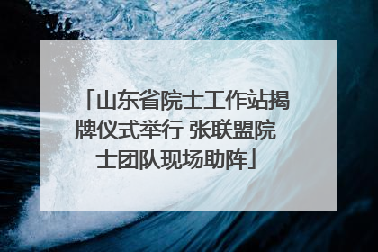 山东省院士工作站揭牌仪式举行 张联盟院士团队现场助阵