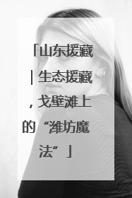 山东援藏｜生态援藏，戈壁滩上的“潍坊魔法”