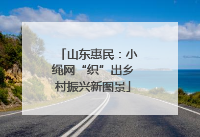 山东惠民：小绳网“织”出乡村振兴新图景