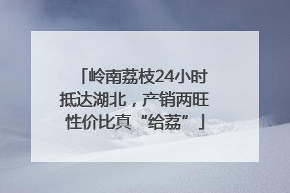 岭南荔枝24小时抵达湖北，产销两旺性价比真“给荔”