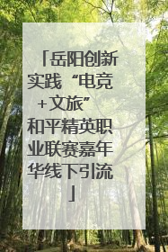 岳阳创新实践“电竞+文旅” 和平精英职业联赛嘉年华线下引流