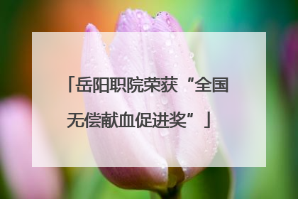 岳阳职院荣获“全国无偿献血促进奖”