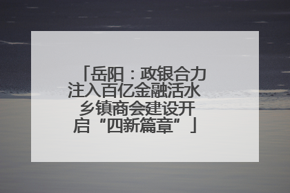 岳阳：政银合力注入百亿金融活水 乡镇商会建设开启“四新篇章”