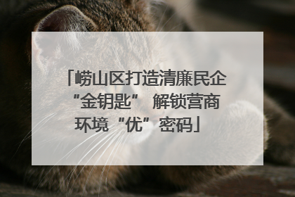 崂山区打造清廉民企“金钥匙” 解锁营商环境“优”密码