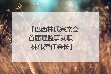 巴西林氏宗亲会首届理监事就职 林伟萍任会长