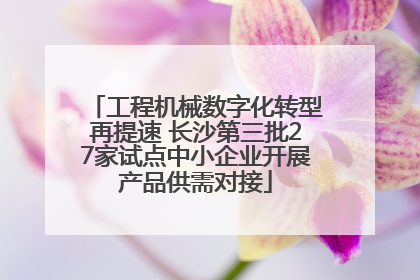 工程机械数字化转型再提速 长沙第三批27家试点中小企业开展产品供需对接