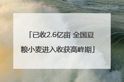 已收2.6亿亩 全国夏粮小麦进入收获高峰期