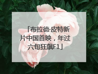布拉德·皮特新片中国首映，年过六旬狂飙F1